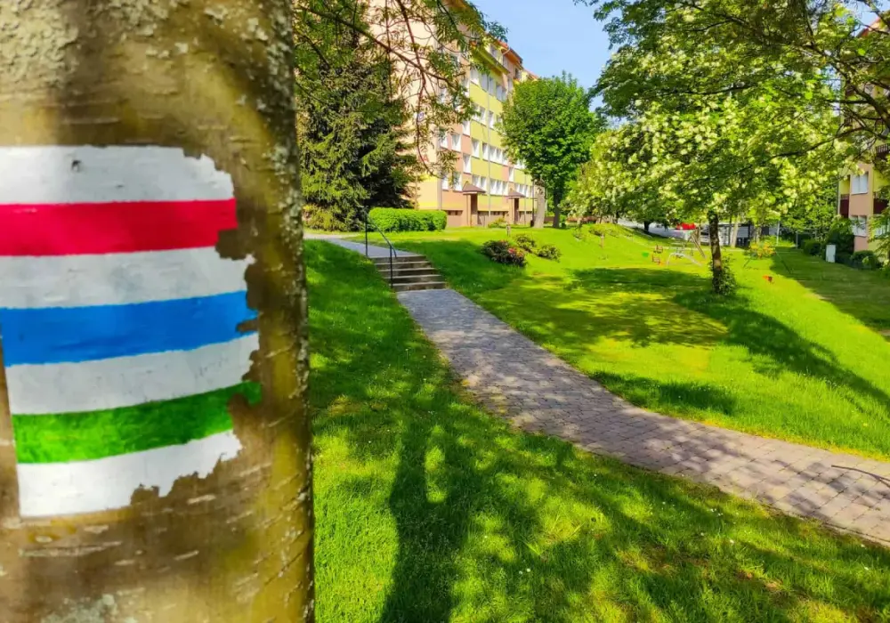 Co oznacza szlak czerwony? Poznaj jego znaczenie i atrakcje turystyczne