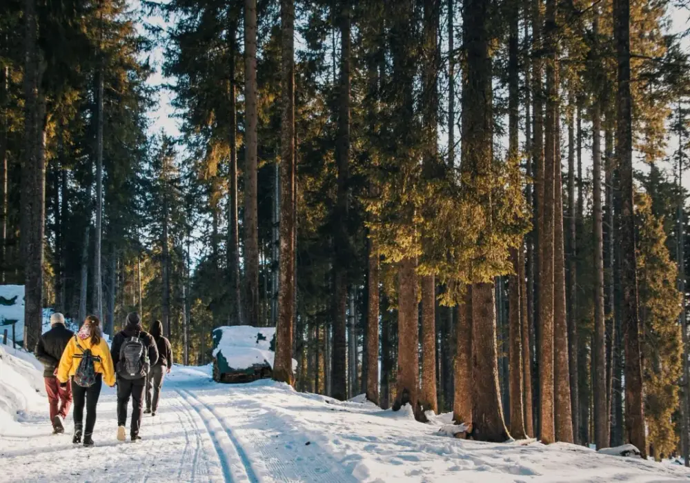 Którym szlakiem zejść ze Szrenicy? Odkryj najlepsze trasy i ich wady