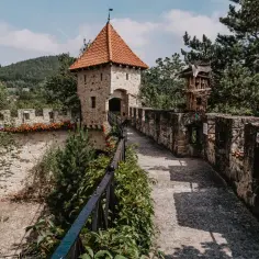 Zamek w Tropsztynie - historia, atrakcje i praktyczne informacje