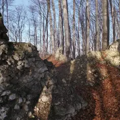 Ruiny zamku w Udorzu - tajemnice średniowiecznej fortecy w lesie