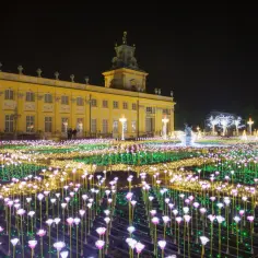 Pałac w Wilanowie zimą: magiczne atrakcje i festiwal światła