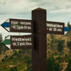 Co oznacza żółty szlak w górach i dlaczego warto go znać