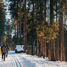 Którym szlakiem zejść ze Szrenicy? Odkryj najlepsze trasy i ich wady