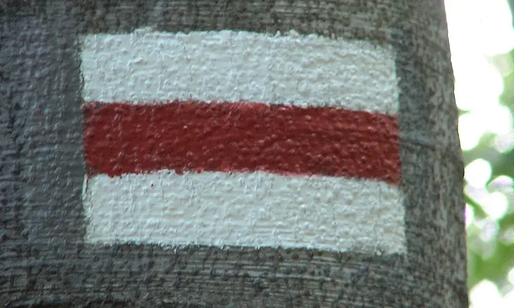 Zdjęcie Co oznacza żółty szlak w górach i dlaczego warto go znać
