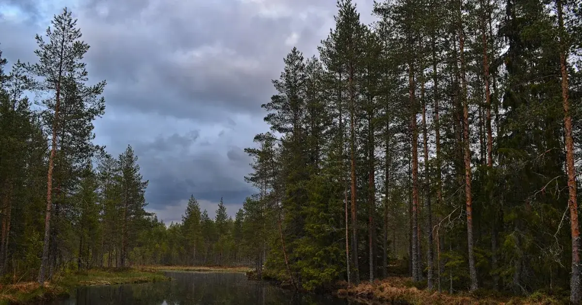 Zdjęcie Czy w Finlandii jest bezpiecznie? Odkryj ukryte zagrożenia i fakty